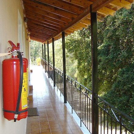 Reggis Apartments Dasziá Kültér fotó